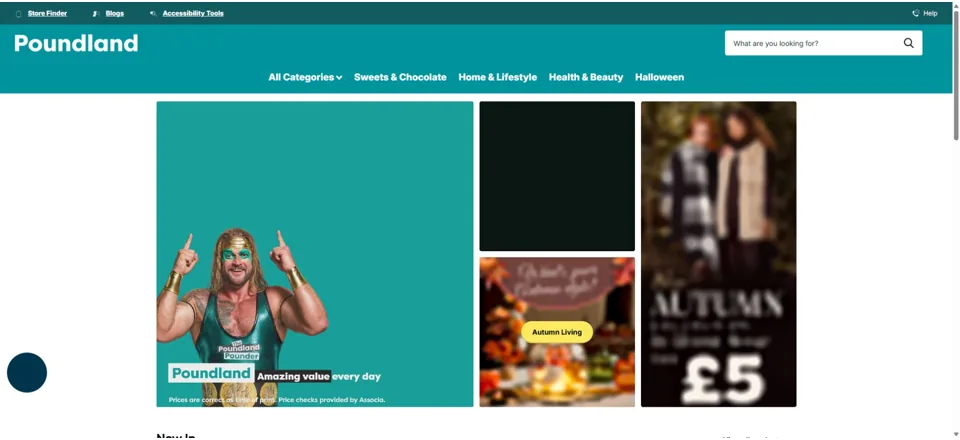 Website preview for Poundland in Haverfordwest